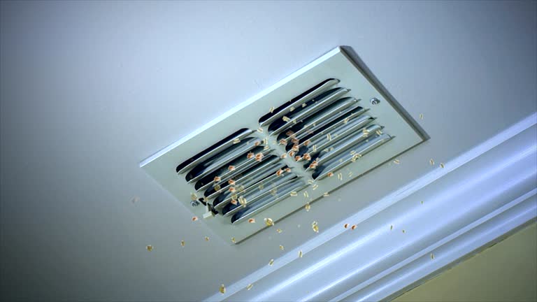 Affordable HVAC Duct Cleaning in Ackerman, MS