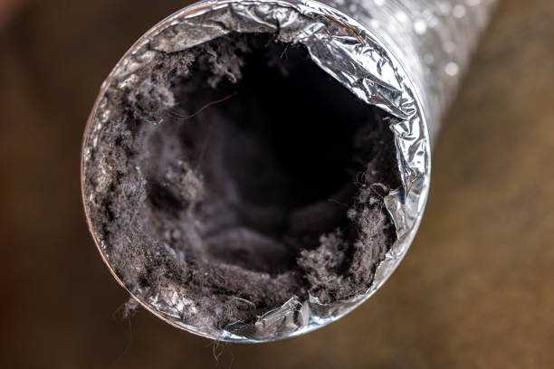 Best HVAC Duct Inspection Services  in Ackerman, MS