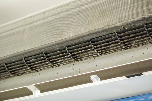 Best HVAC System Cleaning  in Ackerman, MS